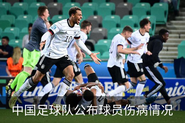 中国足球队公布球员伤病情况
