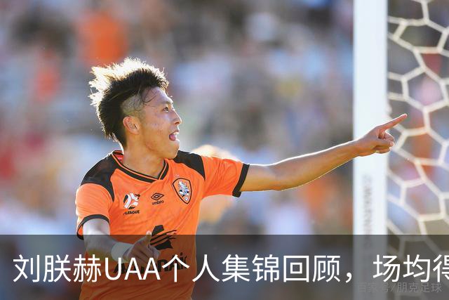 刘朕赫UAA个人集锦回顾，场均得到14.5分3.2板0.6助攻